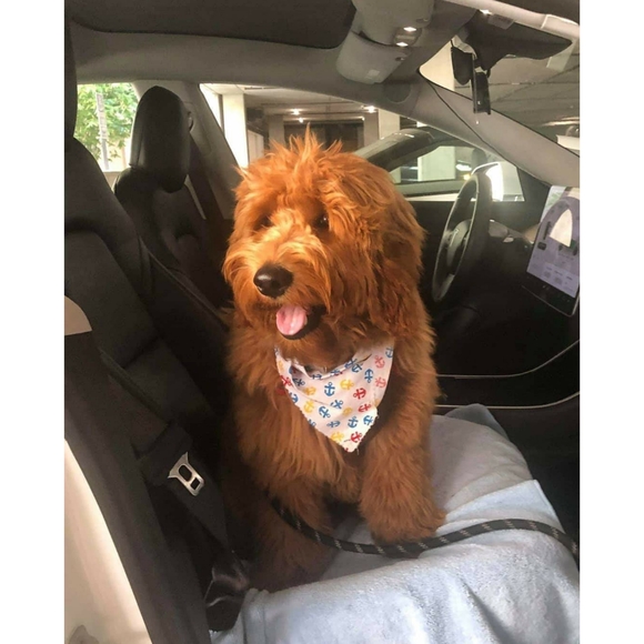 Meet the Posher of WowNYC, Wowie! - Picture 6 of 16